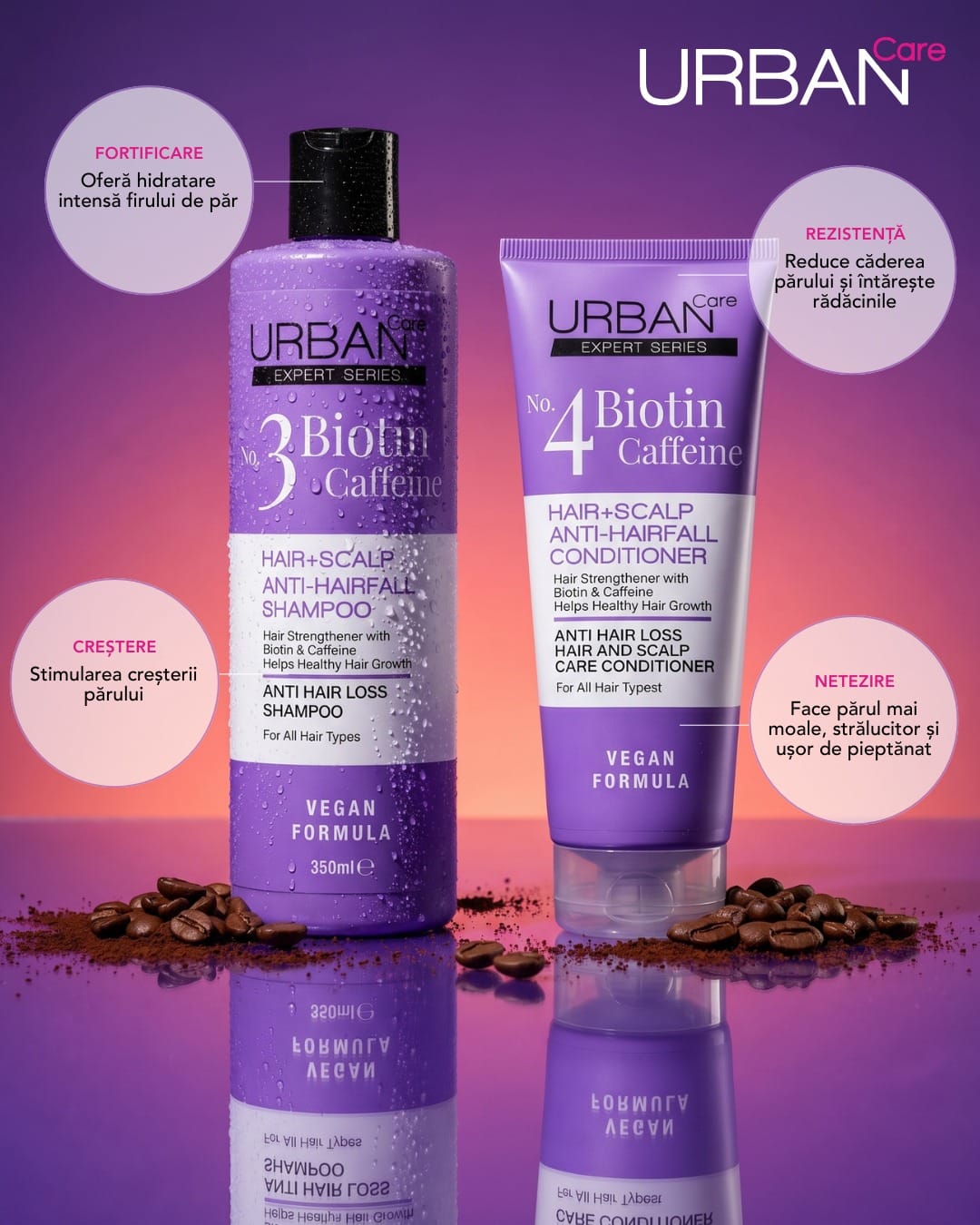 681209085 17923599894316163 385594542771458162 n